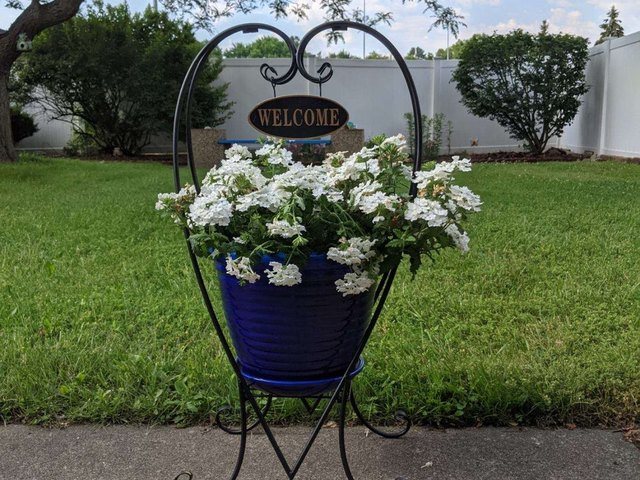 ARBORS AT FAIRLAWN THE